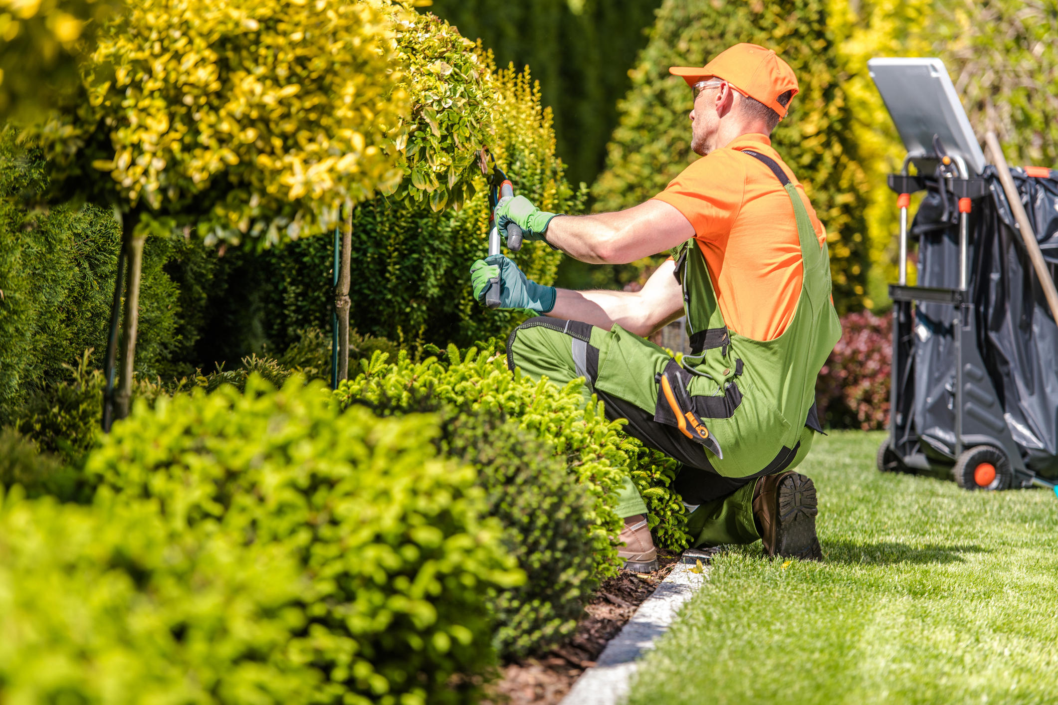 Groundskeeping for Businesses