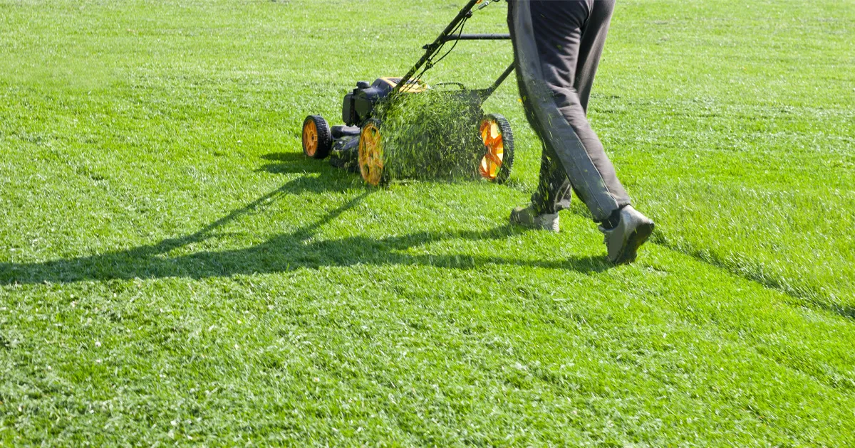 specific types of services required directly affect the cost of groundskeeping